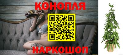 стаф Ливны