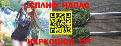 стаф Ливны