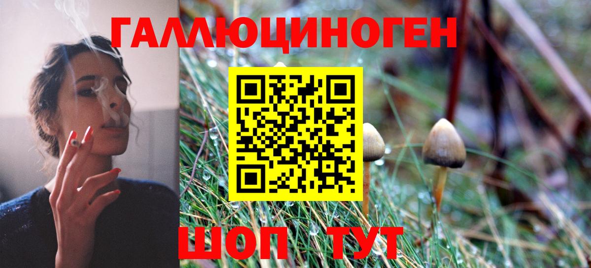 Галлюциногенные грибы мицелий Ростов Великий