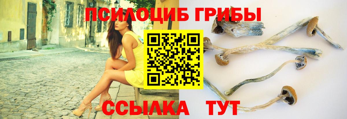 Галлюциногенные грибы Cubensis  как найти закладки  Ростов Великий  Вход с VPN 